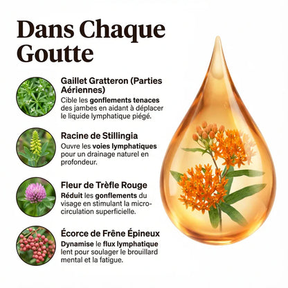 DRAINANT LYMPHATIQUE MEELINAA